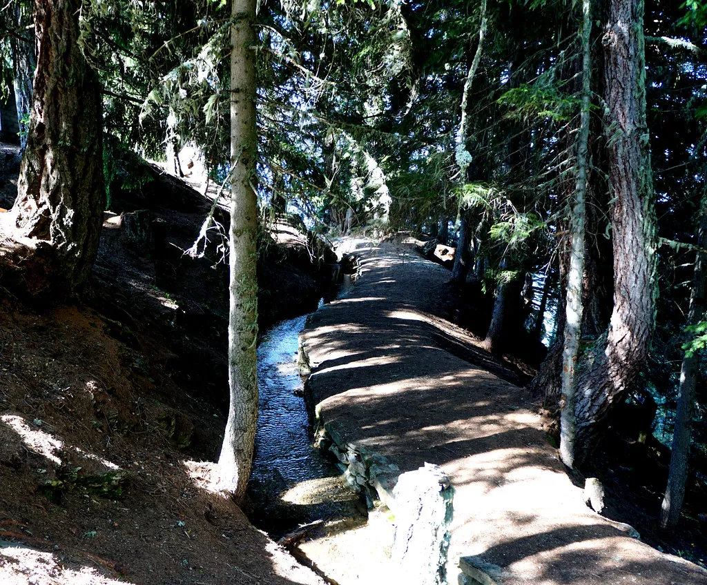 Sendero forestal junto a un arroyo